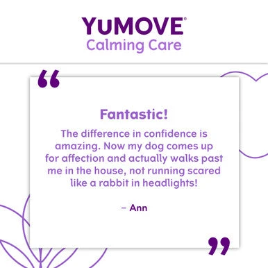 YuMOVE One-A-Day Calming Care Supplement For Small Dogs 5 YuMOVE One-A-Day Calming Care Supplement For Small Dogs - Image 5
