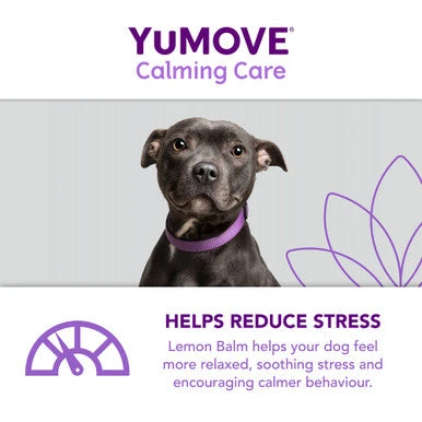 YuMOVE One-A-Day Calming Care Supplement For Small Dogs 7 YuMOVE One-A-Day Calming Care Supplement For Small Dogs - Image 7