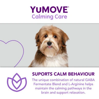 YuMOVE One-A-Day Calming Care Supplement For Small Dogs 8 YuMOVE One-A-Day Calming Care Supplement For Small Dogs - Image 8