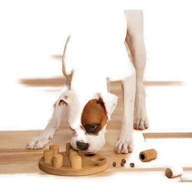 Nina Ottosson Dog Smart Interactive Dog Toy 2 Nina Ottosson Dog Smart Interactive Dog Toy - Image 2