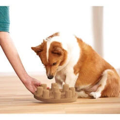 Nina Ottosson Dog Smart Interactive Dog Toy 5 Nina Ottosson Dog Smart Interactive Dog Toy -Pet Supplies I9522110 02 28906.1710539712.386.513