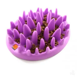 Northmate Catch Interactive Cat Feeder & Toy -Pet Supplies I9522116 02 54352.1710539708.386.513