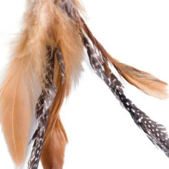 Petface Catkins Retractable Wand Cat Teaser 15 Petface Catkins Retractable Wand Cat Teaser -Pet Supplies I9522223 07 49662.1710539715.386.513