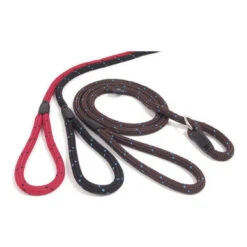 Rosewood Black & Red Slip Dog Lead -Pet Supplies I9522453 02 68075.1700643930.386.513