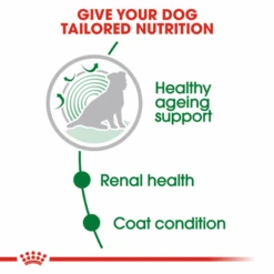 Royal Canin Mini Ageing 12+ Senior In Gravy Wet Dog Food -Pet Supplies I9522548 en 03 35507.1710539731.386.513