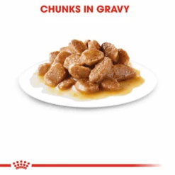 Royal Canin Mini Ageing 12+ Senior In Gravy Wet Dog Food -Pet Supplies I9522548 en 05 55026.1710539731.386.513