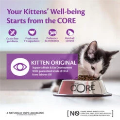 Wellness Core Grain-free Kitten Dry Food Turkey With Salmon -Pet Supplies I9523046 02 27581.1700644266.386.513