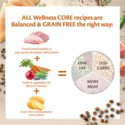 Wellness Core Grain-free Kitten Dry Food Turkey With Salmon -Pet Supplies I9523046 03 98245.1700644265.386.513