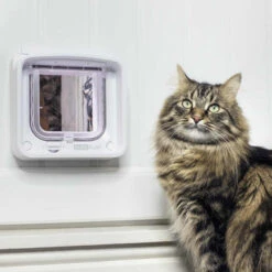SureFlap Microchip Cat Flap Connect -Pet Supplies I9530279 02 33898.1700646257.386.513
