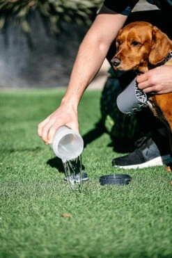 Dexas MudBuster Light Grey Paw Washer For Dog -Pet Supplies I9530849 02 44443.1710539784.386.513