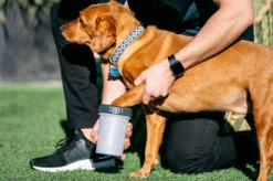 Dexas MudBuster Light Grey Paw Washer For Dog -Pet Supplies I9530849 04 18550.1710539785.386.513