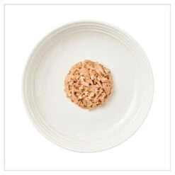 Encore Adult Wet Cat Food Pouches - Fish Selection In Broth -Pet Supplies I9530859 03 83685.1700646727.386.513