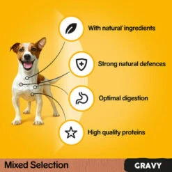 Pedigree Wet Dog Food Pouches - Mixed Selection In Gravy 40 X 100g -Pet Supplies I9530999 04 88356.1710539797.386.513
