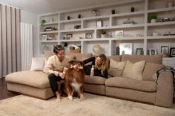 Pet Head Sensitive Soul Conditioner -Pet Supplies I9531004 02 27125.1700646868.386.513