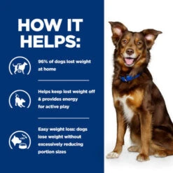 Hill's Metabolic Weight Management Dry Dog Food With Lamb And Rice -Pet Supplies I9568293 en 04 80392.1710539815.386.513