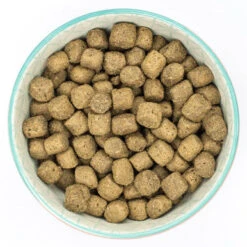Burns Original Adult/Senior Dry Dog Food - Lamb & Brown Rice 12+2kg Free (14kg) -Pet Supplies I9570278 en 03 35203.1710539816.386.513