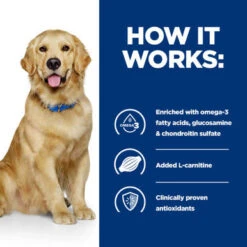 Hill's Prescription Diet Joint Care J/d Adult And Senior Dry Dog Food - Chicken 15 Hill's Prescription Diet Joint Care J/d Adult And Senior Dry Dog Food - Chicken -Pet Supplies I9597306 en 06 34418.1710539831.386.513