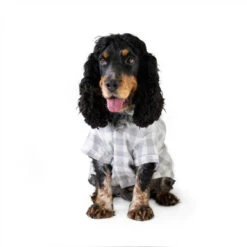 Rosewood Christmas Pyjamas Adult Dog Coat -Pet Supplies I9602389 en 05 49816.1710539820.386.513