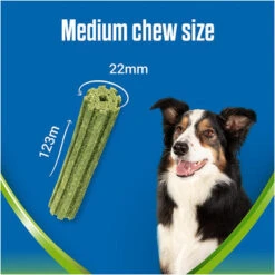 Dentalife ActivFresh Dental Chew Medium Dog Treats -Pet Supplies I9602436 en 08 88904.1710539828.386.513