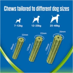 Dentalife ActivFresh Dental Chew Medium Dog Treats -Pet Supplies I9602436 en 09 54979.1710539828.386.513