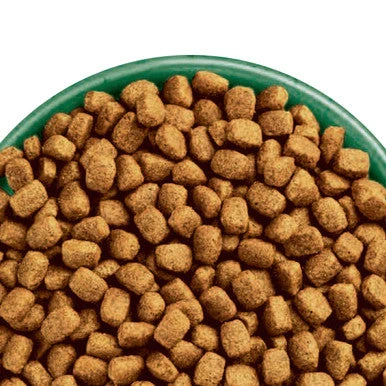 James Wellbeloved Superfoods Gluten-free Small Adult Dry Dog Food - Turkey, Kale & Quinoa 5 James Wellbeloved Superfoods Gluten-free Small Adult Dry Dog Food - Turkey, Kale & Quinoa - Image 5