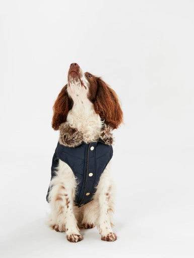 Joules Cherington Quilted Dog Coat 4 Joules Cherington Quilted Dog Coat - Image 4
