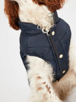 Joules Cherington Quilted Dog Coat 15 Joules Cherington Quilted Dog Coat -Pet Supplies I9637394 en 11 56897.1710539863.386.513