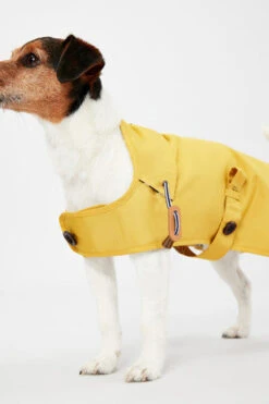 Joules Antique Dog Raincoat - Gold 15 Joules Antique Dog Raincoat - Gold -Pet Supplies I9637421 en 07 91080.1710539871.386.513