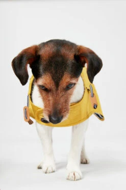 Joules Antique Dog Raincoat - Gold 16 Joules Antique Dog Raincoat - Gold -Pet Supplies I9637421 en 08 35010.1710539871.386.513