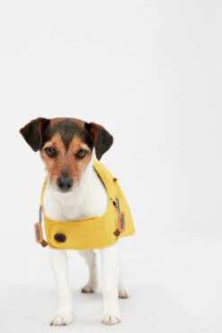 Joules Antique Dog Raincoat - Gold 17 Joules Antique Dog Raincoat - Gold -Pet Supplies I9637421 en 09 26114.1710539871.386.513