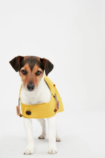 Joules Antique Dog Raincoat - Gold 8 Joules Antique Dog Raincoat - Gold - Image 8