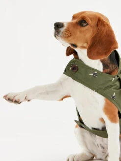 Joules Bee Print Dog Raincoat -Pet Supplies I9637425 en 10 63031.1710539854.386.513