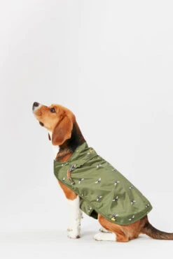 Joules Bee Print Dog Raincoat -Pet Supplies I9637425 en 11 23581.1710539854.386.513