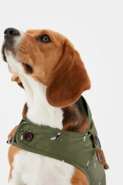 Joules Bee Print Dog Raincoat -Pet Supplies I9637425 en 12 75085.1710539854.386.513
