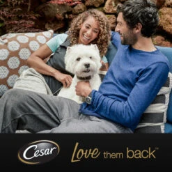 Cesar Hearty Casserole Adult Wet Dog Food In Trays - Mixed Selection -Pet Supplies I9650447 en 05 23847.1710539876.386.513