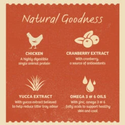 James Wellbeloved Grain-free Adult Wet Cat Food In Pouches - Chicken In Jelly 14 James Wellbeloved Grain-free Adult Wet Cat Food In Pouches - Chicken In Jelly -Pet Supplies I9650458 en 06 47134.1710539884.386.513