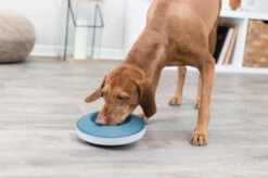 Trixie Rocking Slow Feeding Dog Bowl - Grey/Blue 9 Trixie Rocking Slow Feeding Dog Bowl - Grey/Blue -Pet Supplies I9658287 en 05 93351.1710539885.386.513