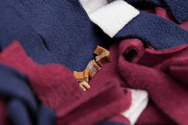 Trixie Sniffing Carpet Strategy Game Cat Toy 3 Trixie Sniffing Carpet Strategy Game Cat Toy - Image 3