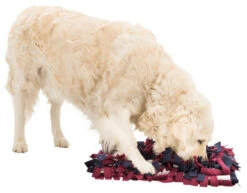 Trixie Sniffing Carpet Strategy Game Cat Toy 7 Trixie Sniffing Carpet Strategy Game Cat Toy -Pet Supplies I9658312 en 04 83344.1710539884.386.513