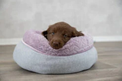 Trixie Junior Round Dog Bed - Light Grey/Light Lilac -Pet Supplies I9658332 en 05 75249.1710539894.386.513