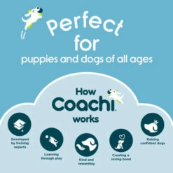 Coachi Toilet Training Bells For Dogs - Navy & Light Blue -Pet Supplies I9659277 en 08 95483.1710539888.386.513