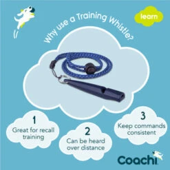 Coachi Training Whistle For Dogs - Navy 12 Coachi Training Whistle For Dogs - Navy -Pet Supplies I9659282 en 04 53952.1710539898.386.513
