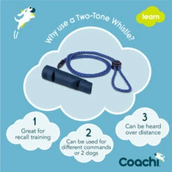 Coachi Two-Tone Whistle For Dogs - Navy -Pet Supplies I9659284 en 04 06284.1710539890.386.513
