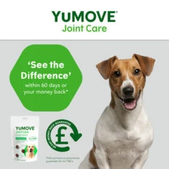 YuMOVE Joint Care Daily Bites Supplement For Adult Dogs -Pet Supplies I9671280 en 05 73025.1710539903.386.513