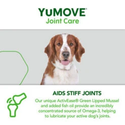 YuMOVE Joint Care Daily Bites Supplement For Adult Dogs -Pet Supplies I9671280 en 06 12907.1710539903.386.513