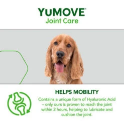 YuMOVE Joint Care Daily Bites Supplement For Adult Dogs -Pet Supplies I9671280 en 08 97496.1710539903.386.513
