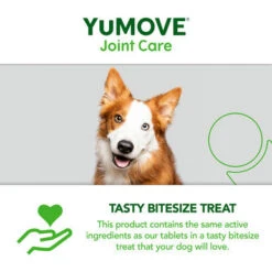 YuMOVE Joint Care Daily Bites Supplement For Adult Dogs -Pet Supplies I9671280 en 09 18208.1710539903.386.513