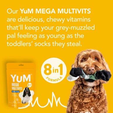 YuM MultiVits 8 In 1 Senior Dog Treats 6 YuM MultiVits 8 In 1 Senior Dog Treats - Image 6