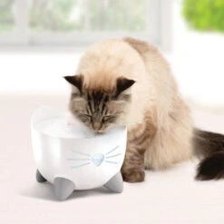 Catit Pixi Cat Drinking Fountain -Pet Supplies I9678301 en 06 54500.1710539929.386.513