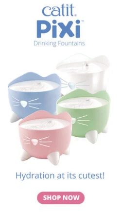 Catit Pixi Cat Drinking Fountain -Pet Supplies I9678301 en 11 35038.1710539929.386.513